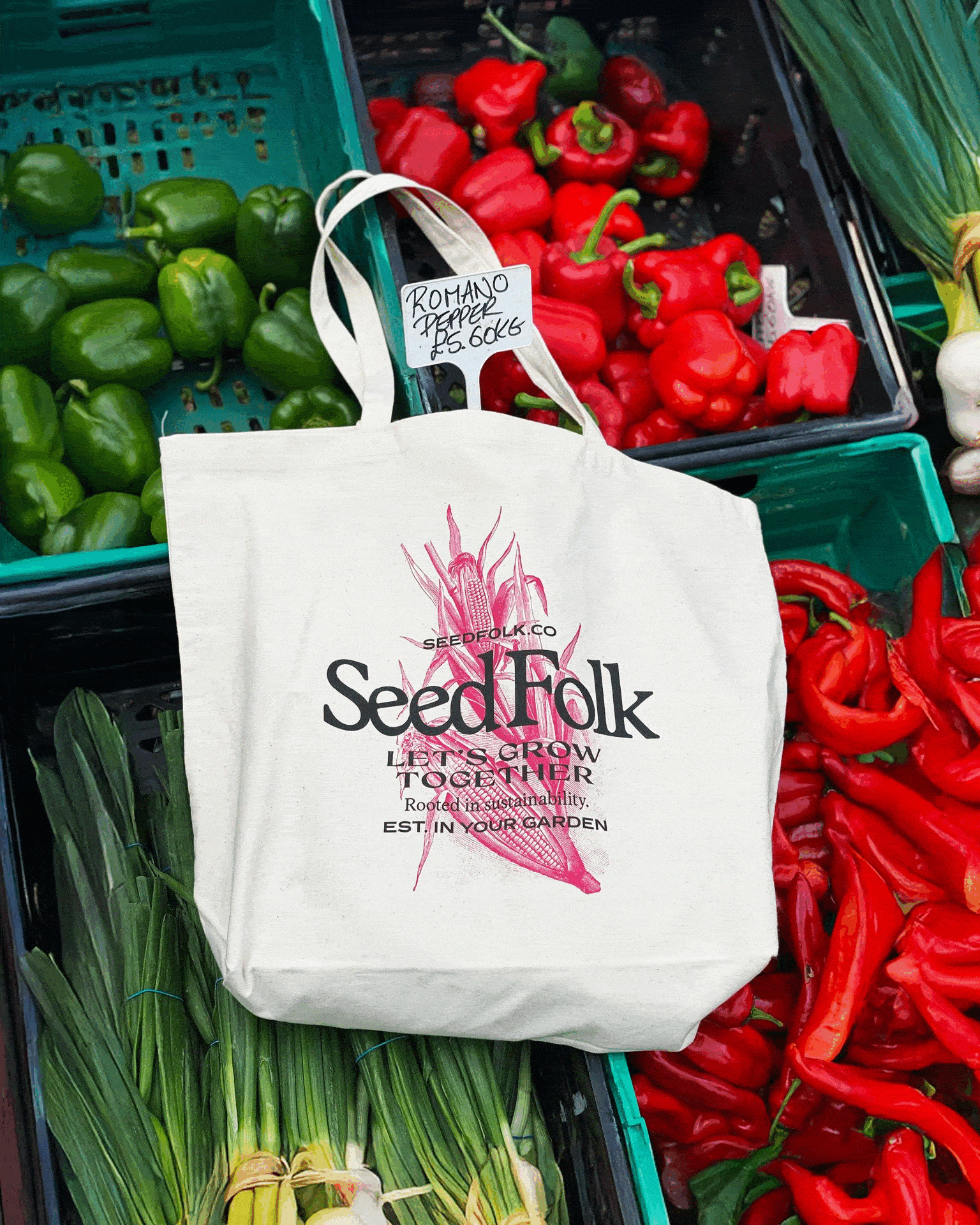 Description of image